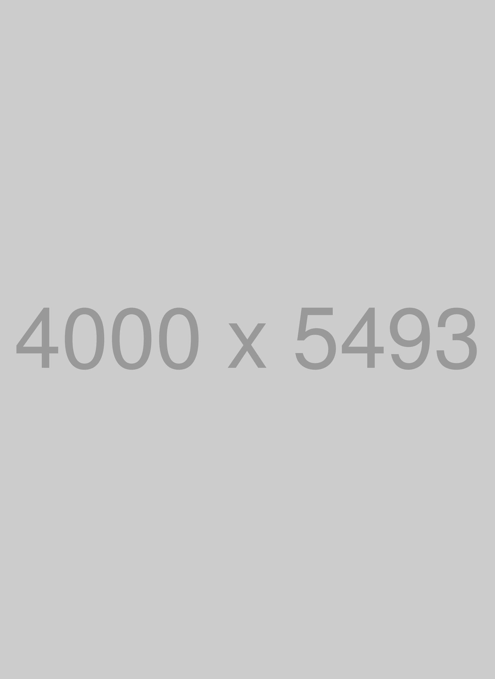 Elijah O' Donell Photographer